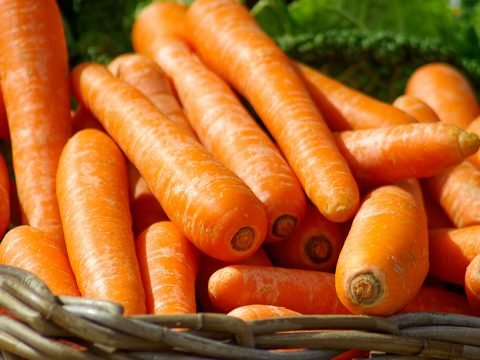 Losing Weight - Stop Focusing on the Carrots!