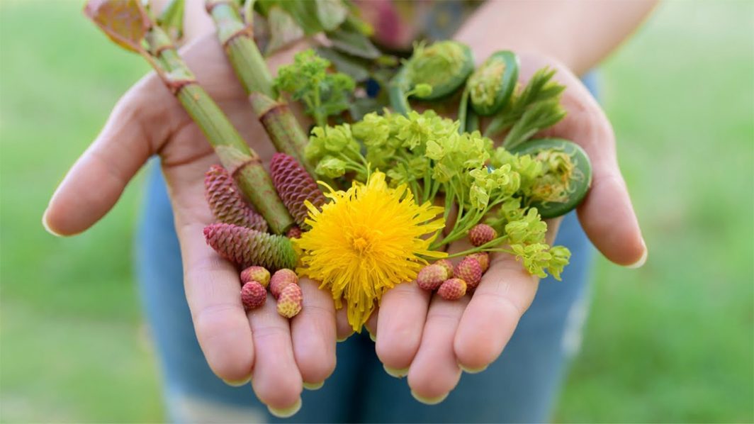 Spring Forage