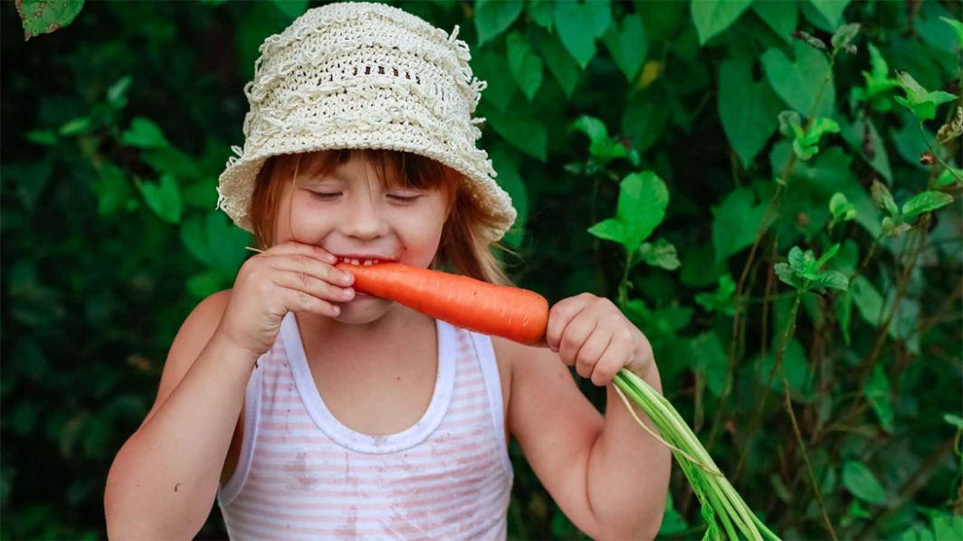 Start Looking Like a Slim Carrot With a Vegetable Diet