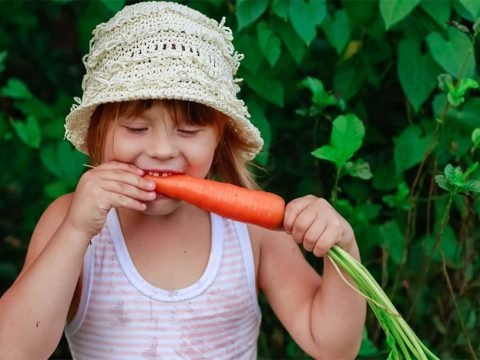 Start Looking Like a Slim Carrot With a Vegetable Diet