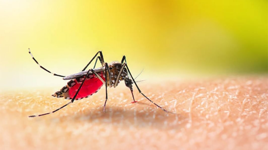 Prevention is Better than Cure