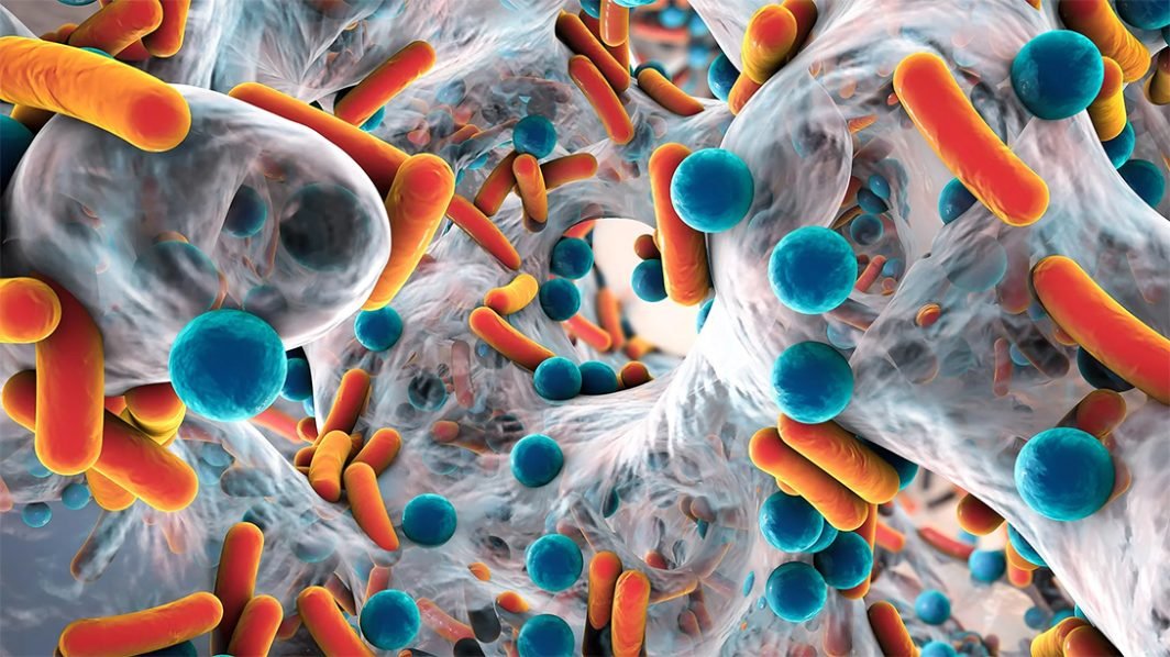 Are Antibiotics Killing You?