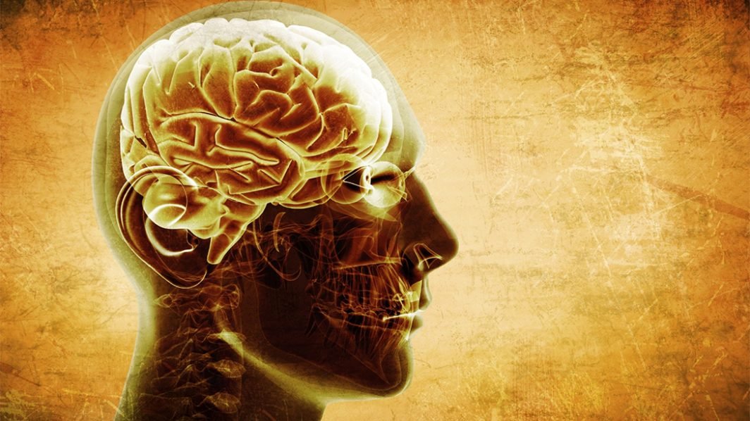 Brain Nutrients for Alzheimers Disease and Senile Dementia