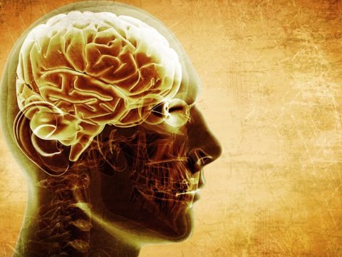 Brain Nutrients for Alzheimers Disease and Senile Dementia