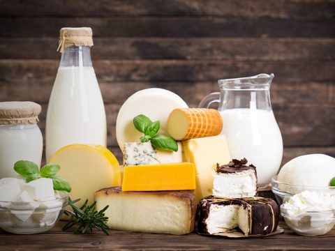 Dairy in Diet