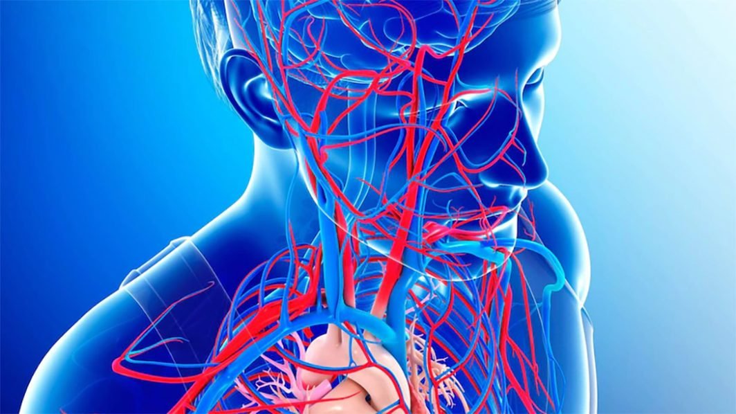 Ensuring Sufficient Blood Flow to the Brain