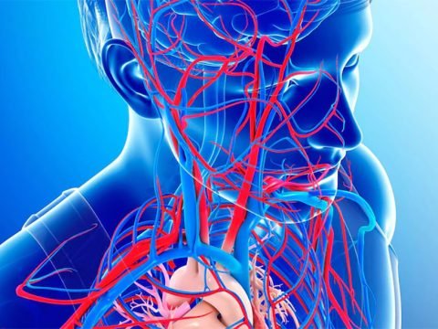 Ensuring Sufficient Blood Flow to the Brain