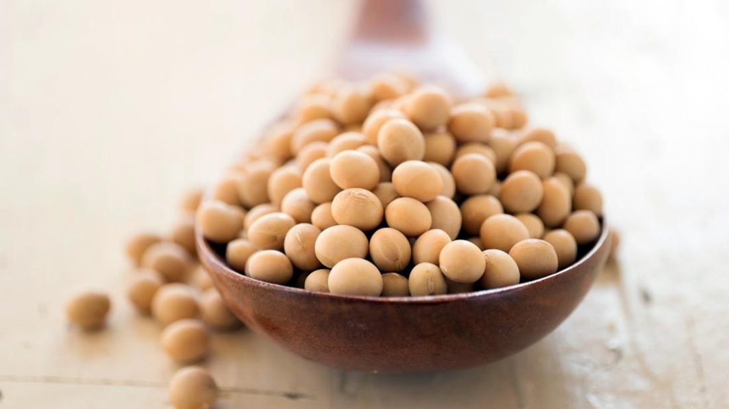 Monosodium Glutamate & Hydrolyzed Protein