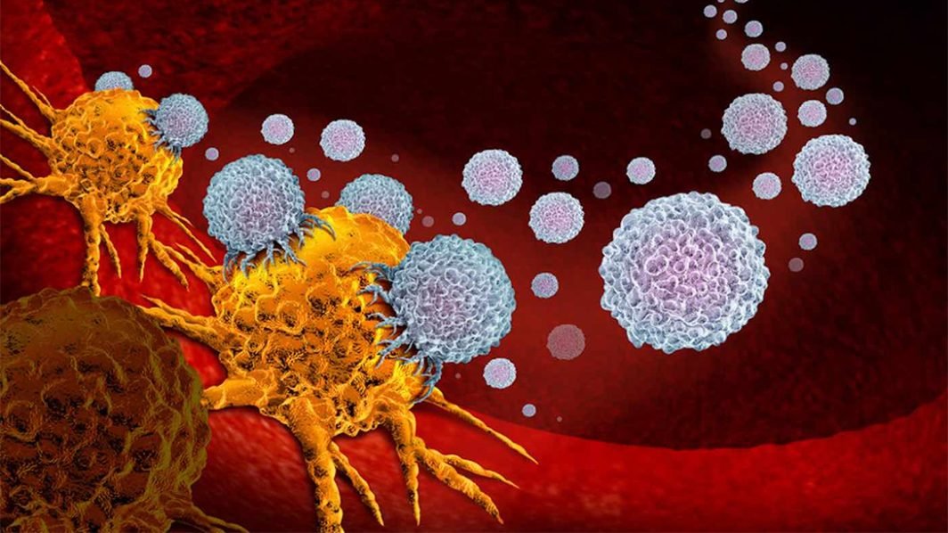 Self-destroying cancer cells: a major breakthrough for medical research