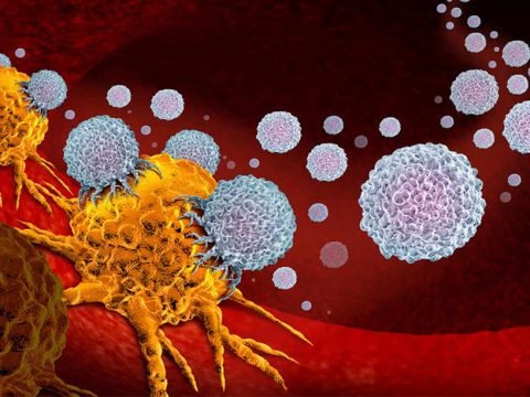 Self-destroying cancer cells: a major breakthrough for medical research