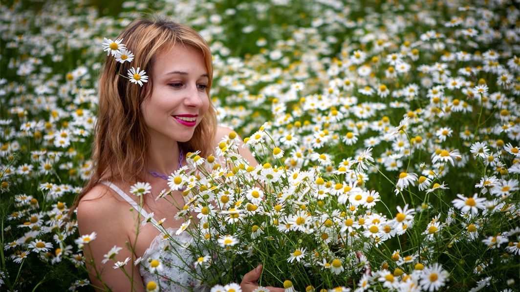 The use of chamomile plants as medicinal alternative
