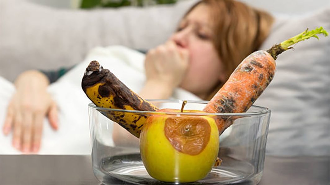 Toxic Mold & Diet