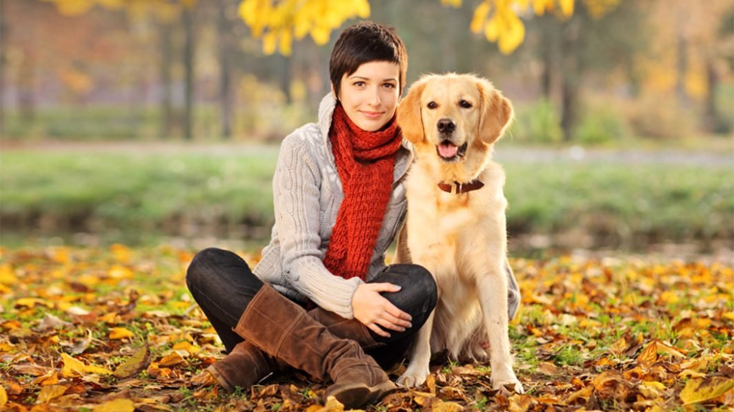 Your Pet May Be a Shamanic Healer