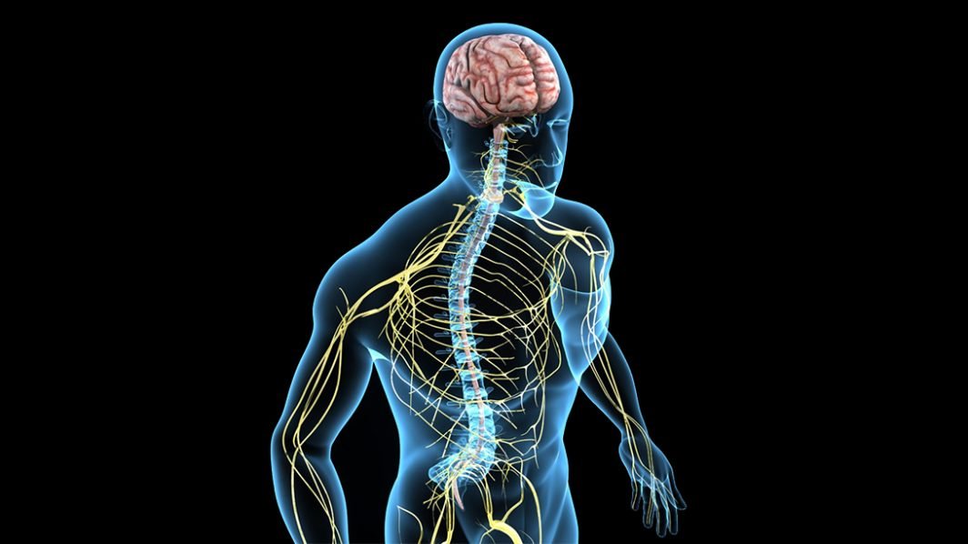 Curing Lou Gehrig's Disease