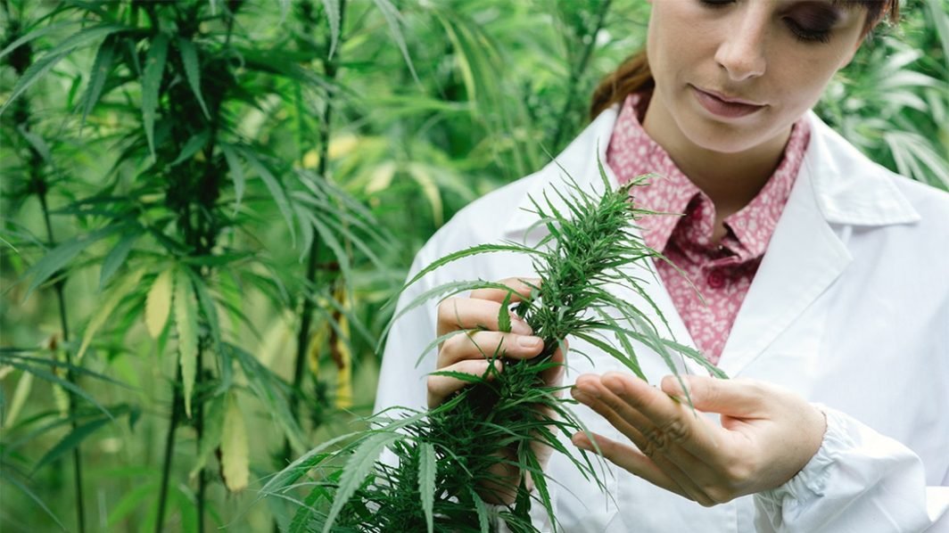 How to Avoid Dangerous Drug-Herb Interactions, Part 1