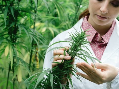 How to Avoid Dangerous Drug-Herb Interactions, Part 1