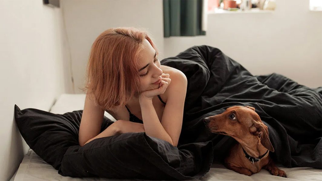 IF ONLY PEOPLE WERE AS GRATEFUL AS DOGS