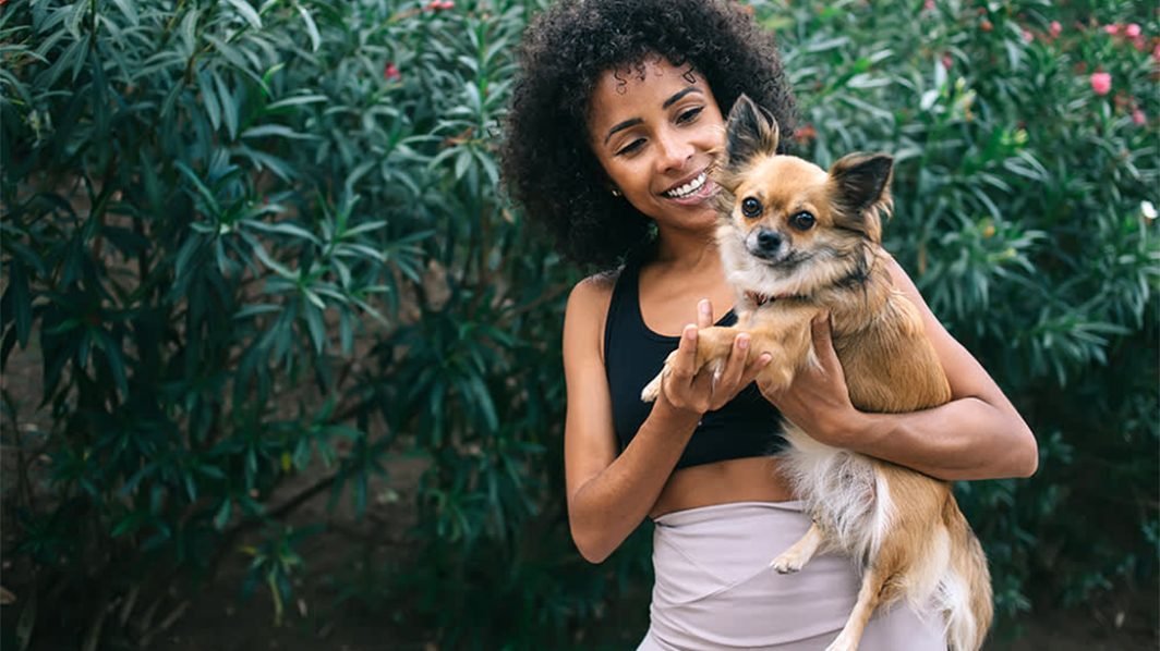 Is your Dog Malnourished?