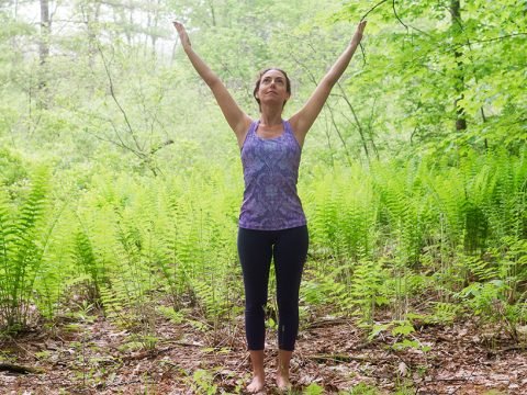 Journey into the Self