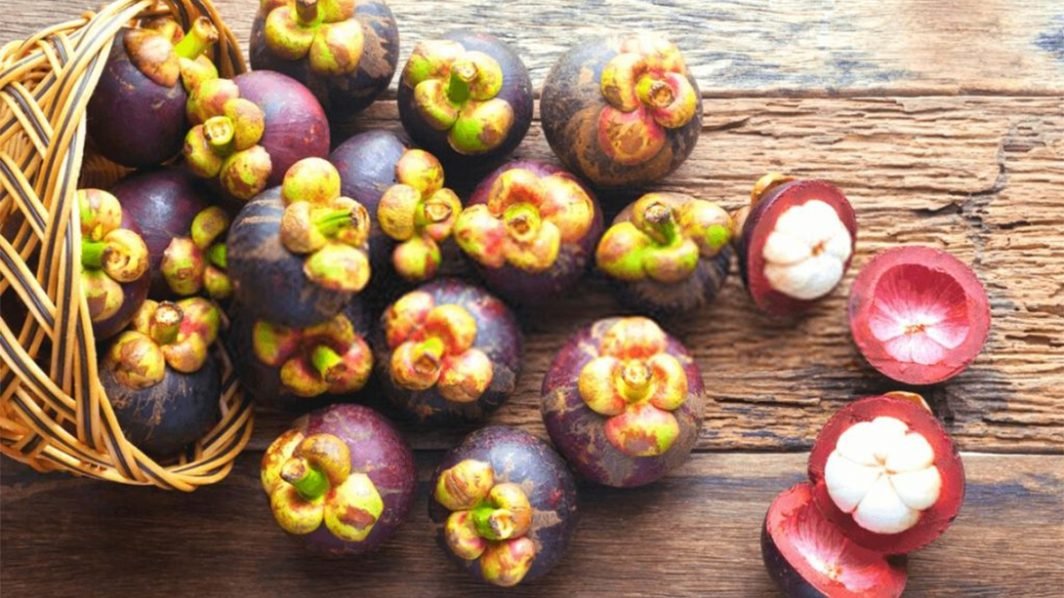 Mangosteen Brings Health and Healing