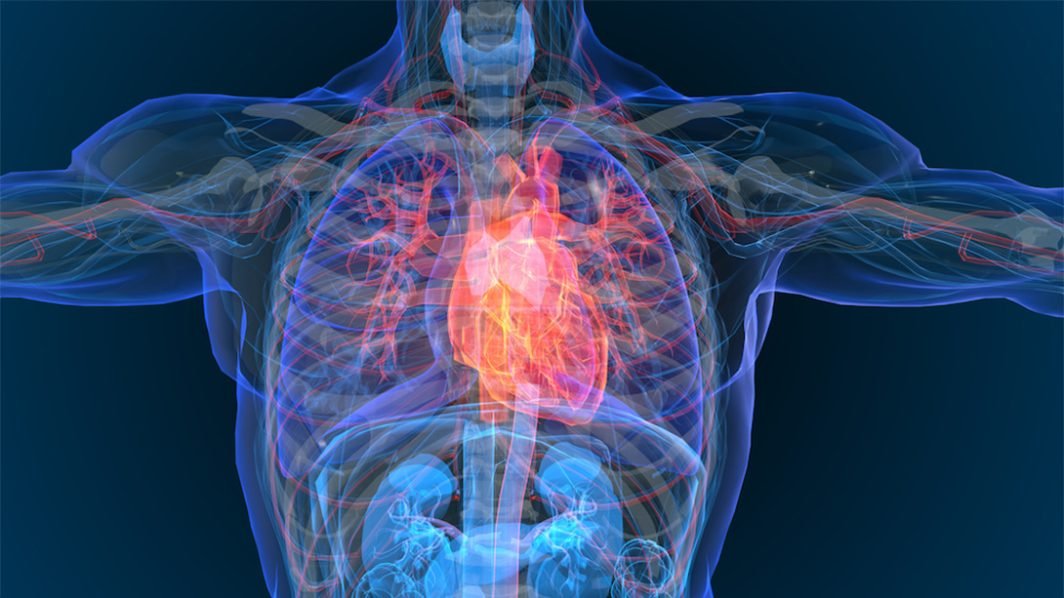 Transitioning from EP Diagnostic to Therapeutics: What are the Essential Considerations?