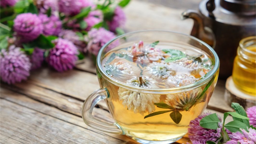 Truth and Lies about Menopause Herbs