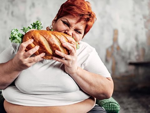 What Really Causes High Cholesterol?