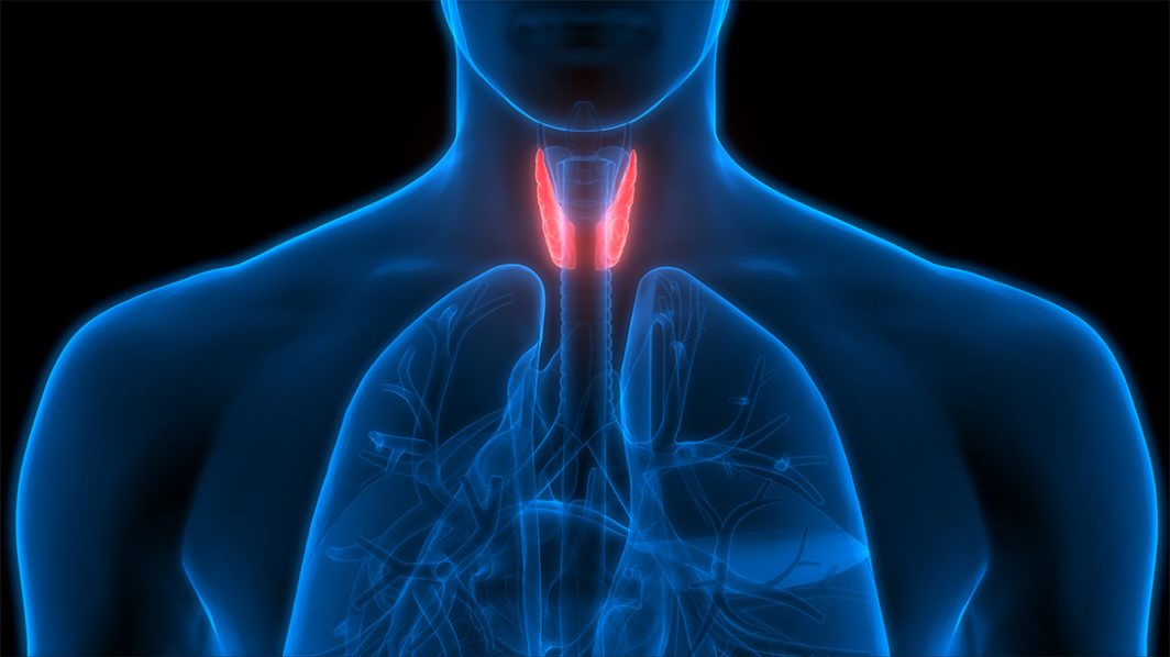 What is Thyax? What does it do for Thyroid Problems?