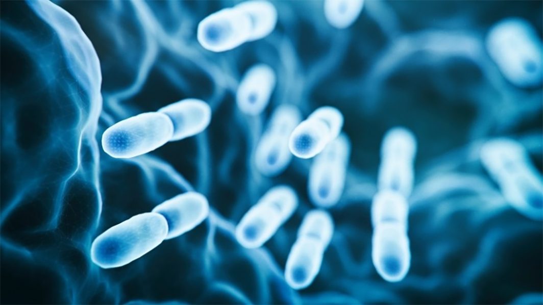 Disease Begins in the Colon - Use Friendly Bacteria For Good Health
