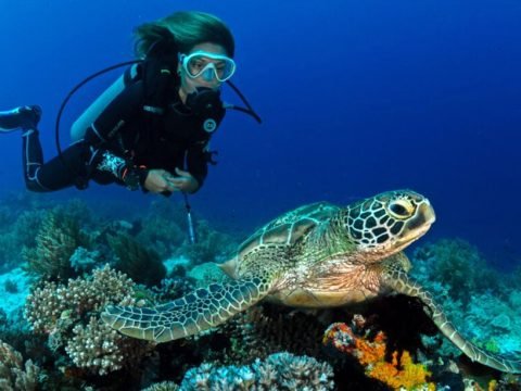 Diving with Asthma