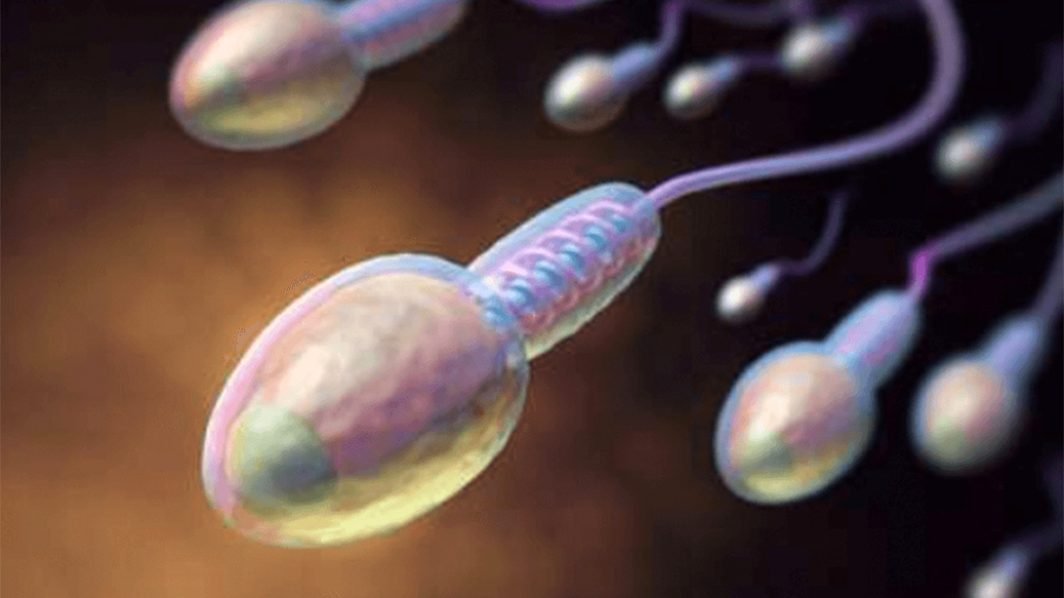 Factors That Will Affect Sperm Health
