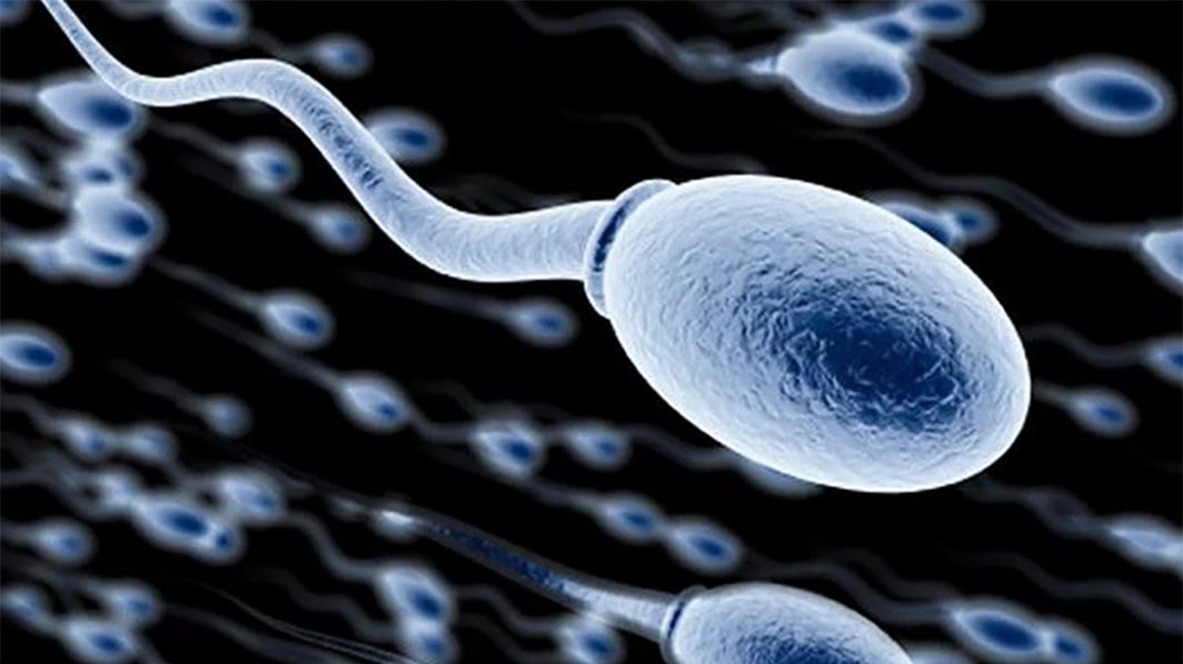 Men and Sperm Health