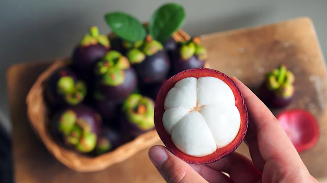 Revealed! The Secrets of Mangosteen