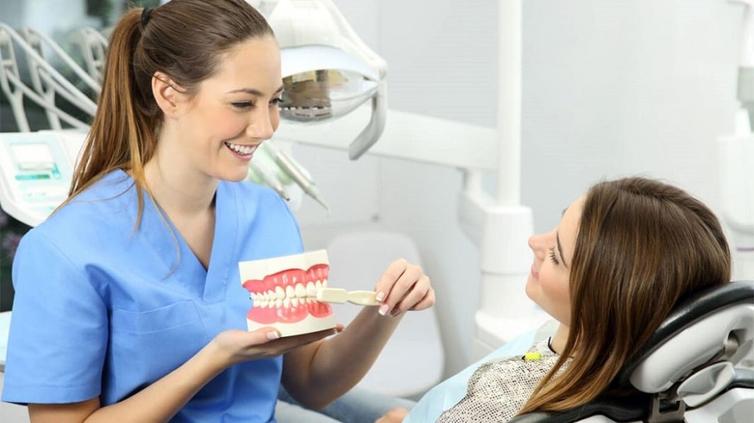 What is the difference between HMO and PPO dental plans?