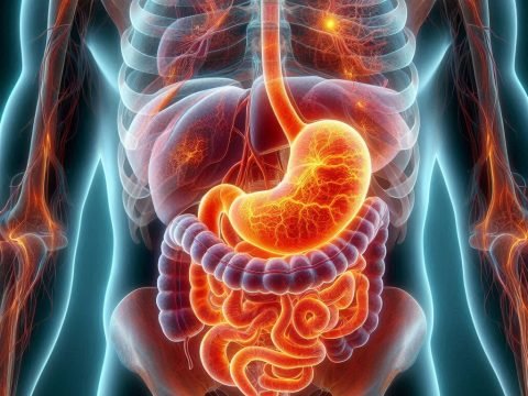 Causes Of Acne Can Upset Stomach Cause Acne