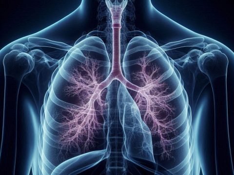 Mesothelioma Cancer Treatment and Prevention